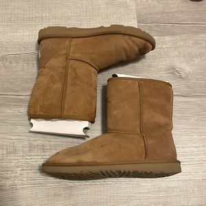Chestnut Uggs